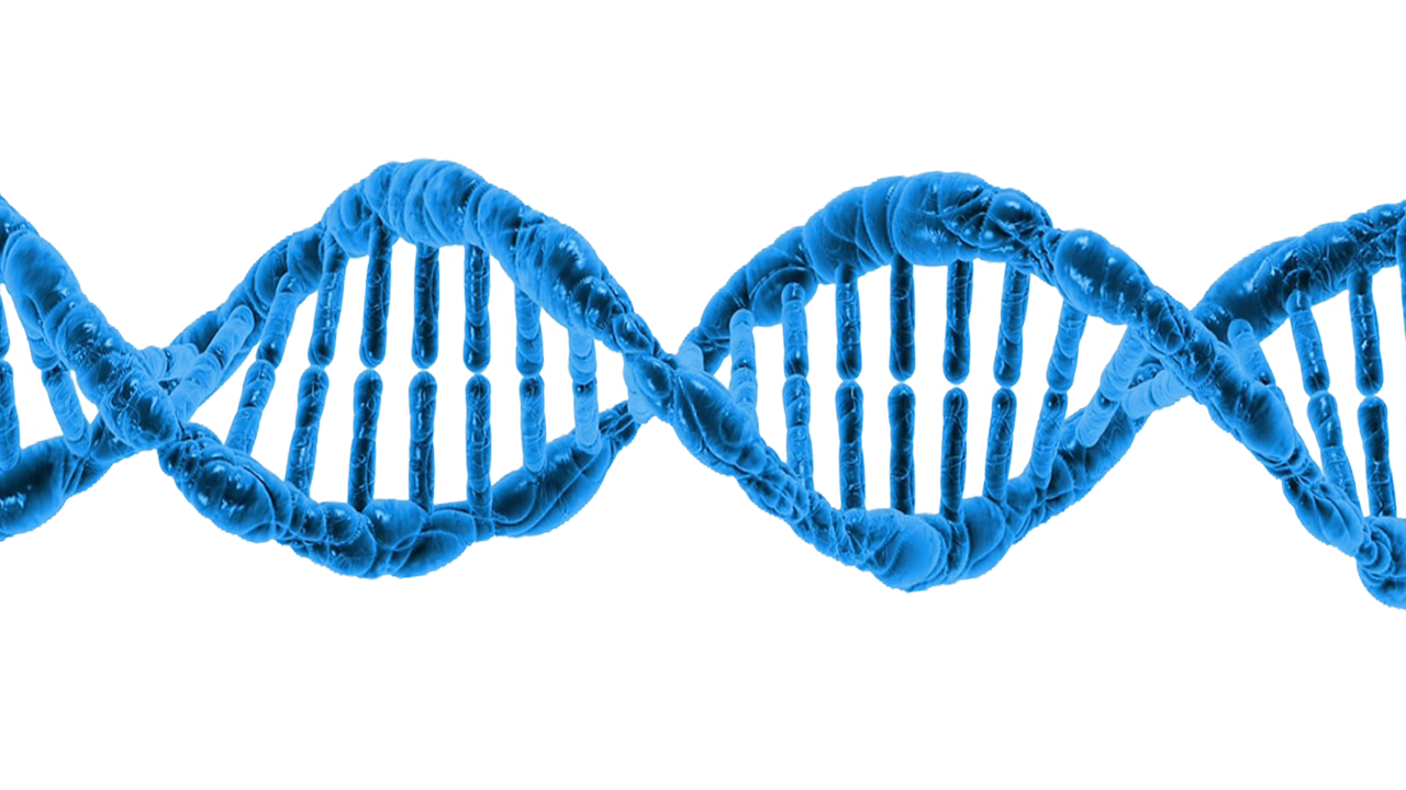 CÂNCER HEREDITÁRIO? ESTUDO INÉDITO NO BRASIL REVELA QUE MUTAÇÕES PODEM ESTAR NO DNA DA SUA FAMÍLIA
